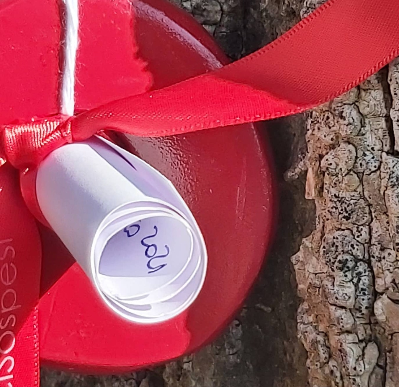 A rolled handwritten note held by a red ribbon inside a red Baci Sospesi form against a tree trunk.